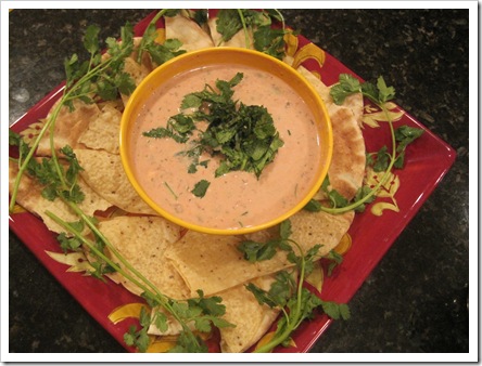 salsa dip