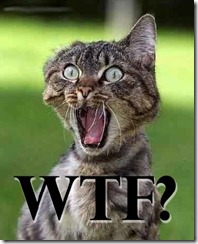 wtf_cat-4263 wtf_cat-4263